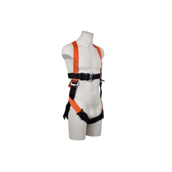 Aresta Rushmore Double Point Safety Harness