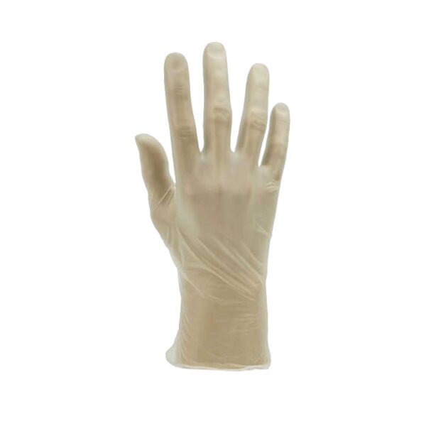 Disposable Vinyl Gloves