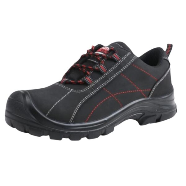 Meru Composite Safety Shoe