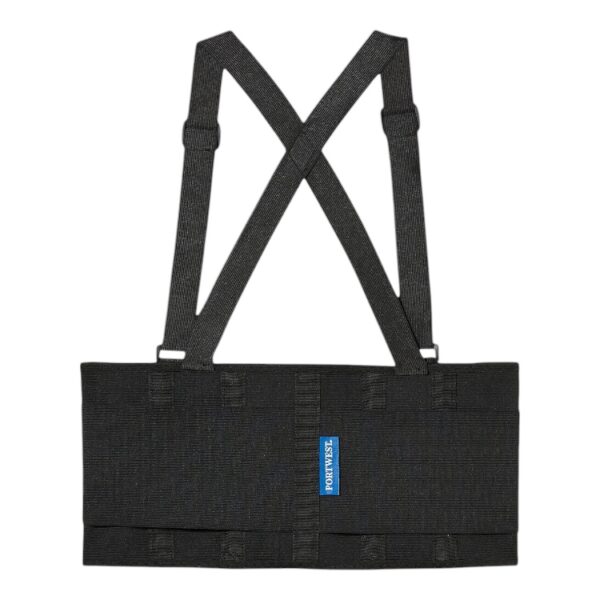 Back Support Belt